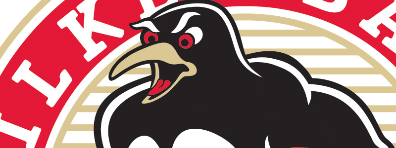 Penguins 2004 Logo