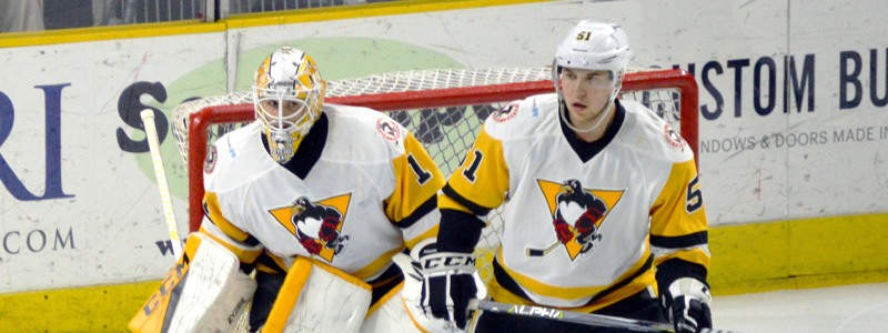 DeSmith and Pouliot
