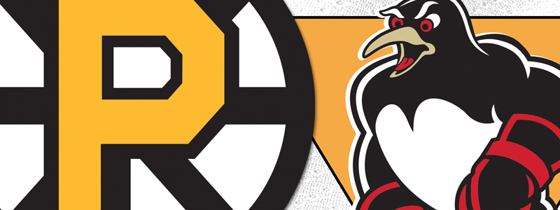 Read more about the article PENGUINS – BRUINS PLAYOFF PRIMER