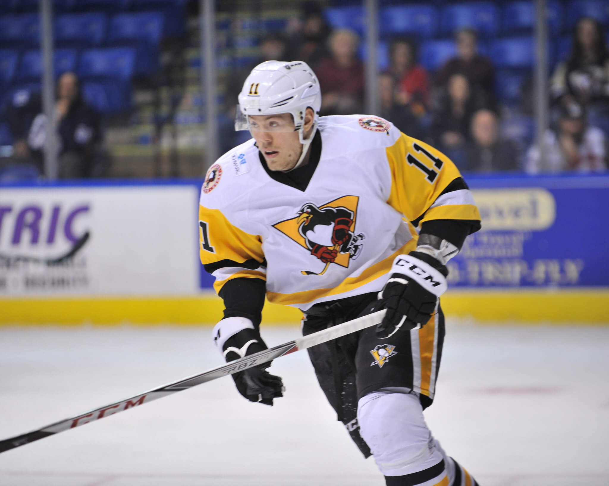 Sprong2