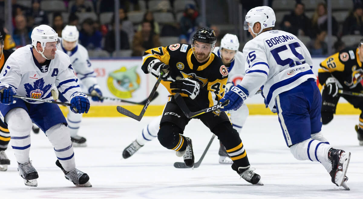 Read more about the article PENGUINS FALL IN HIGH-FLYING AFFAIR WITH MARLIES