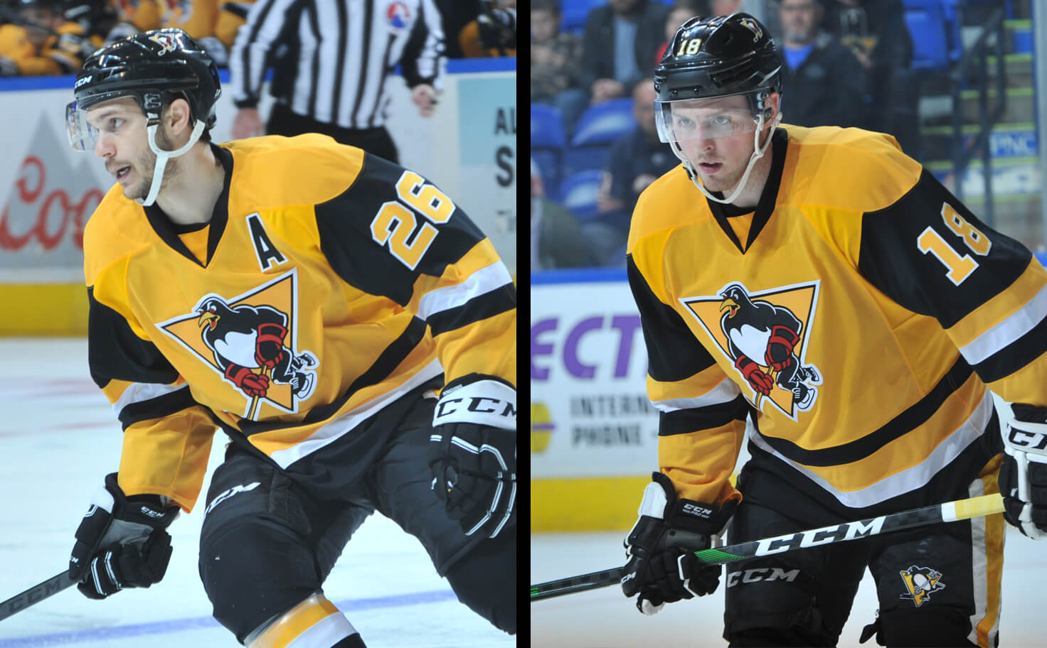Read more about the article PITTSBURGH RECALLS AGOZZINO, LAFFERTY