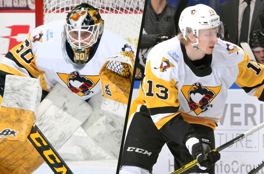 Read more about the article EMIL LARMI, JAN DROZG REASSIGNED TO WHEELING