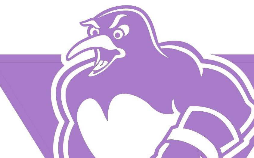 Read more about the article PENGUINS SUPPORTING HOCKEY FIGHTS CANCER THIS NOVEMBER