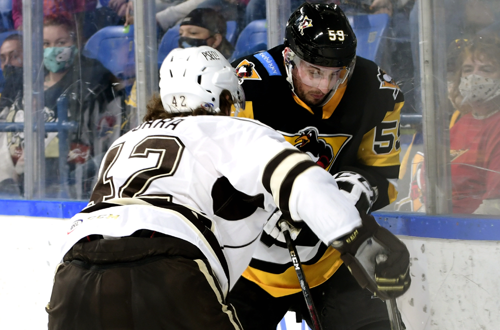 Read more about the article PENGUINS FALL IN CLOSE BATTLE WITH BEARS, 3-1