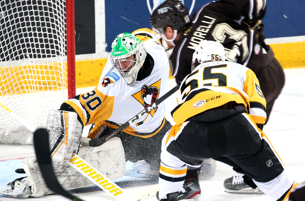 Read more about the article PENGUINS LOSE TO BEARS IN FEISTY SEASON FINALE