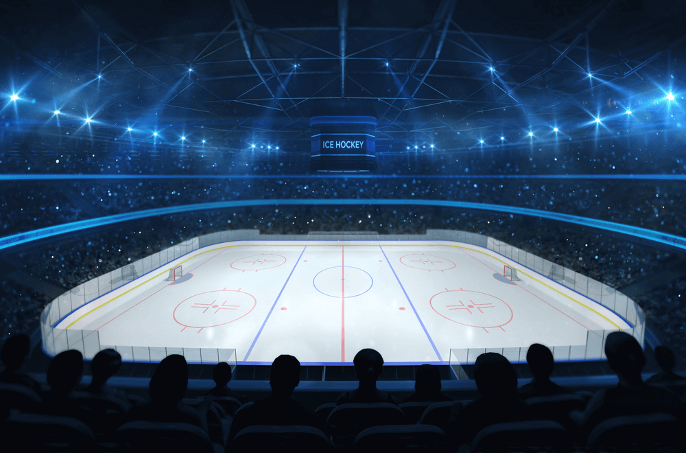 Sports Fan Hockey Arena