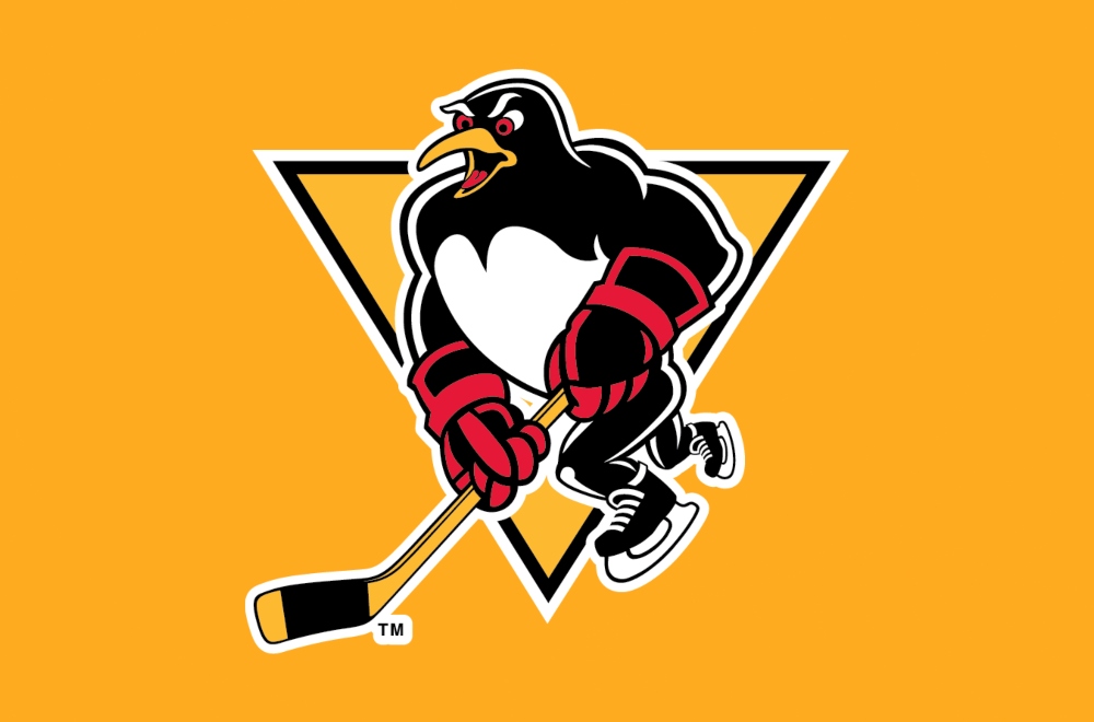 Read more about the article PENGUINS PLAYER TRACKER
