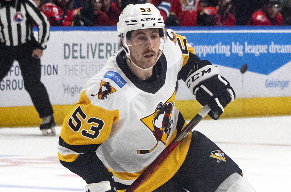 Read more about the article SEAN JOSLING REASSIGNED TO NAILERS