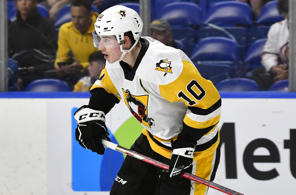 Read more about the article PENGUINS LOSE TO WOLF PACK, 3-1