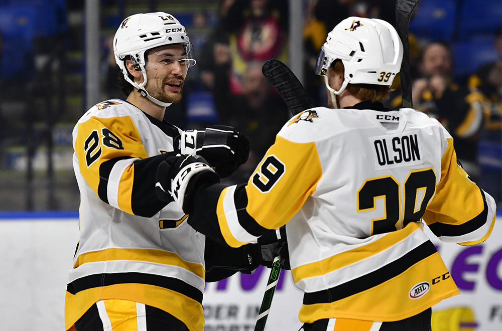 Read more about the article PENGUINS TAKE DOWN BEARS, 3-1