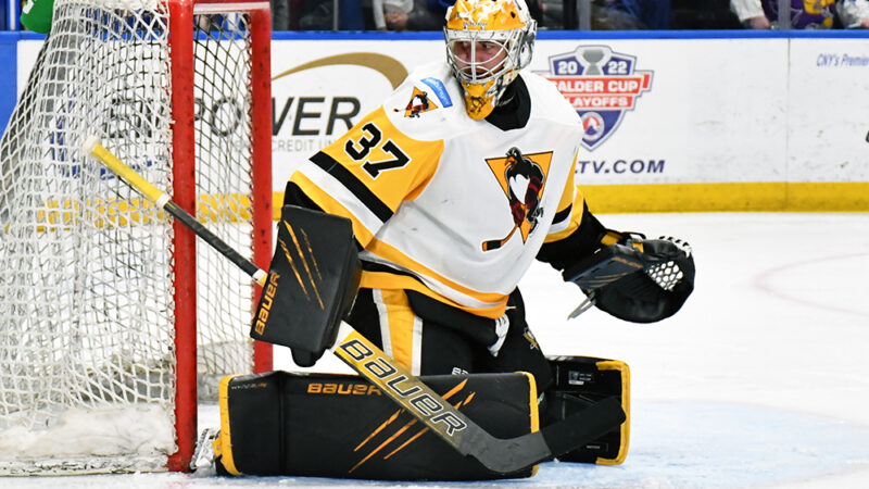 Read more about the article PENGUINS RECALL GOALIE TOMMY NAPPIER