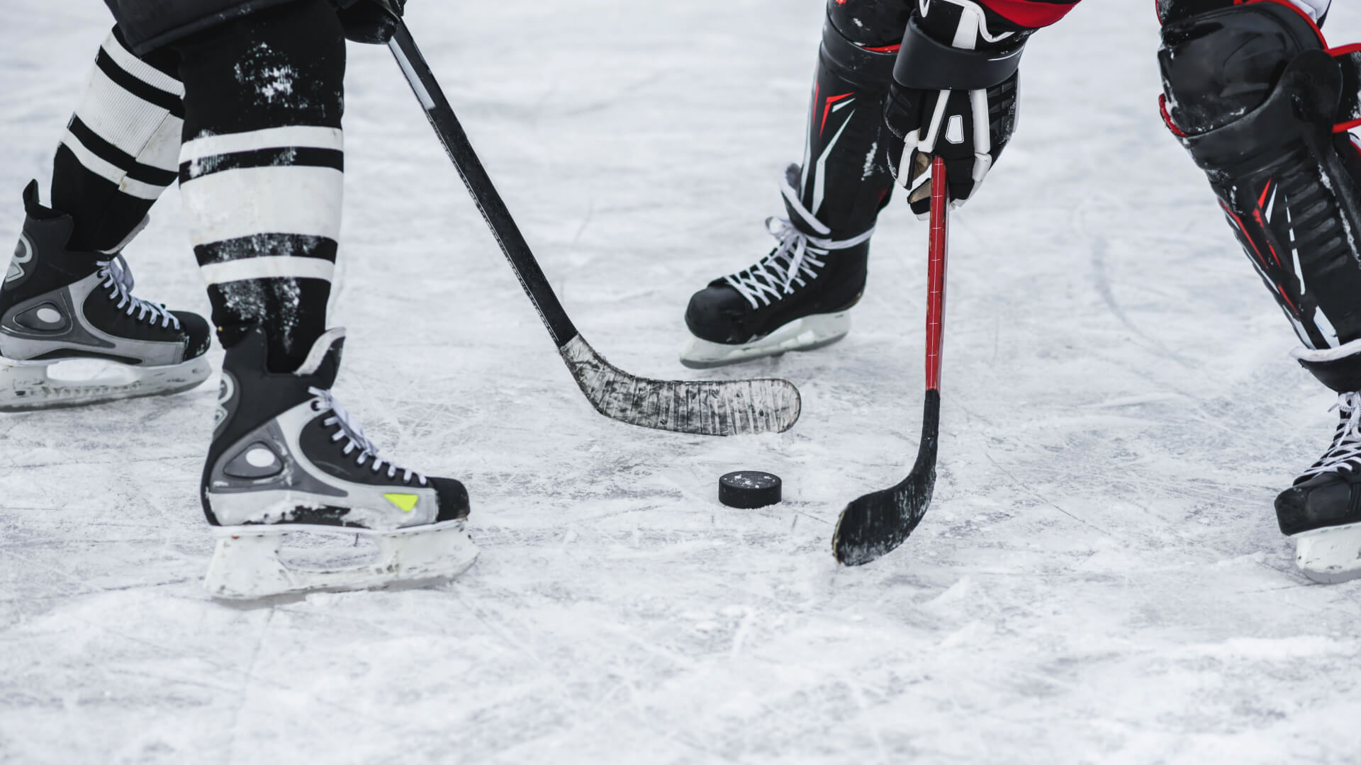 newest teams in the ahl playing hockey