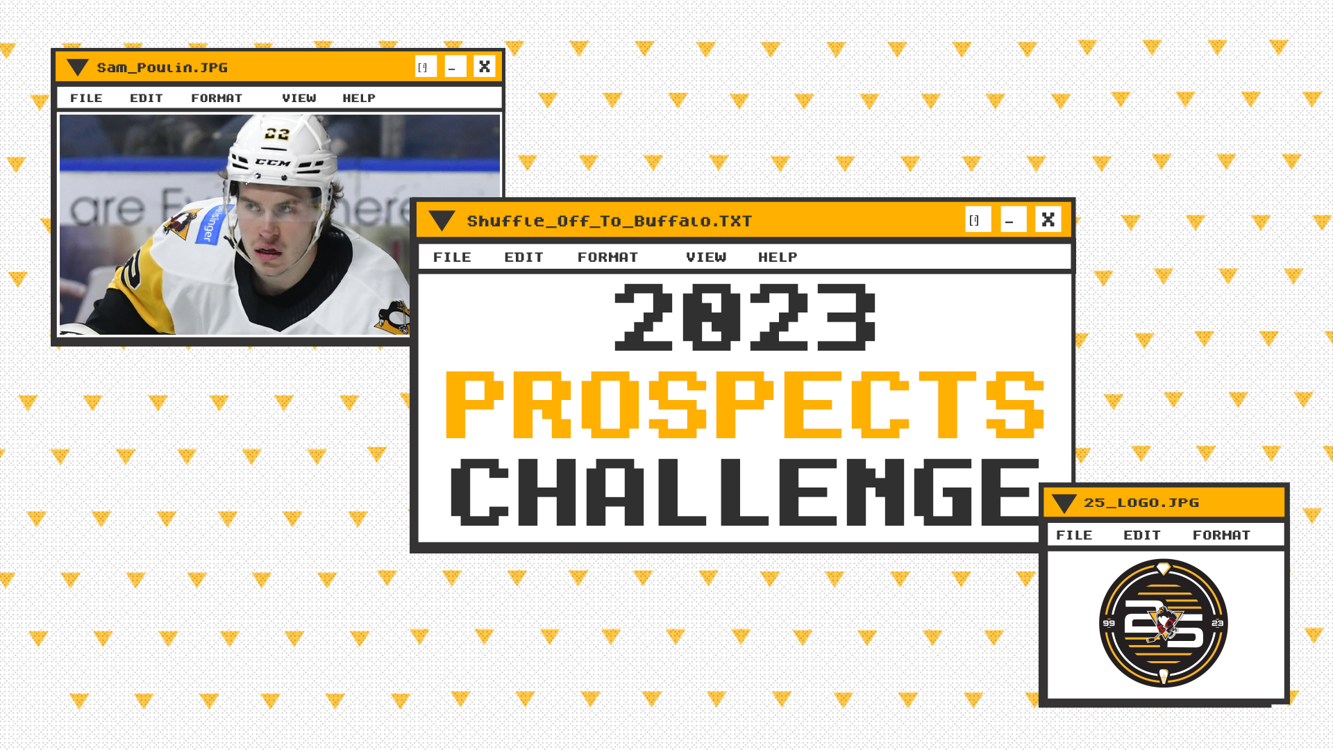 Read more about the article PENGUINS TO PARTICIPATE IN PROSPECTS CHALLENGE