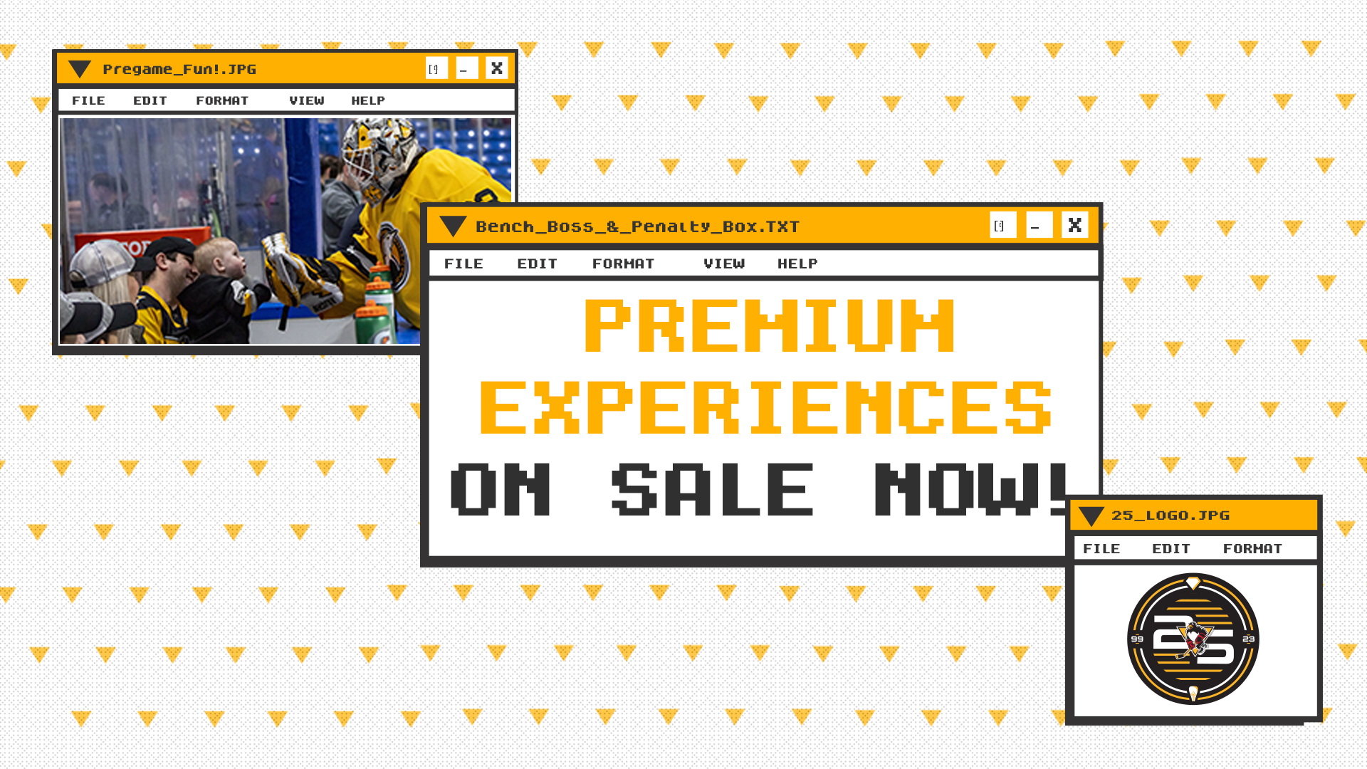 Read more about the article PENGUINS PREMIUM EXPERIENCES ON SALE NOW