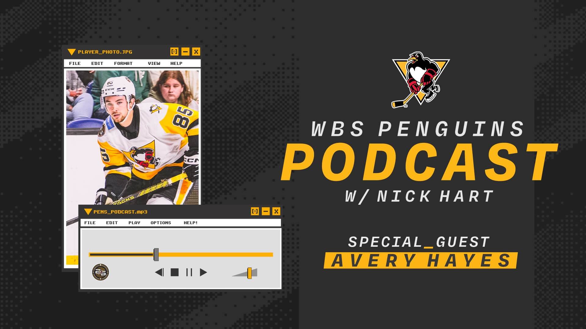 Read more about the article PENGUINS PODCAST w/ AVERY HAYES