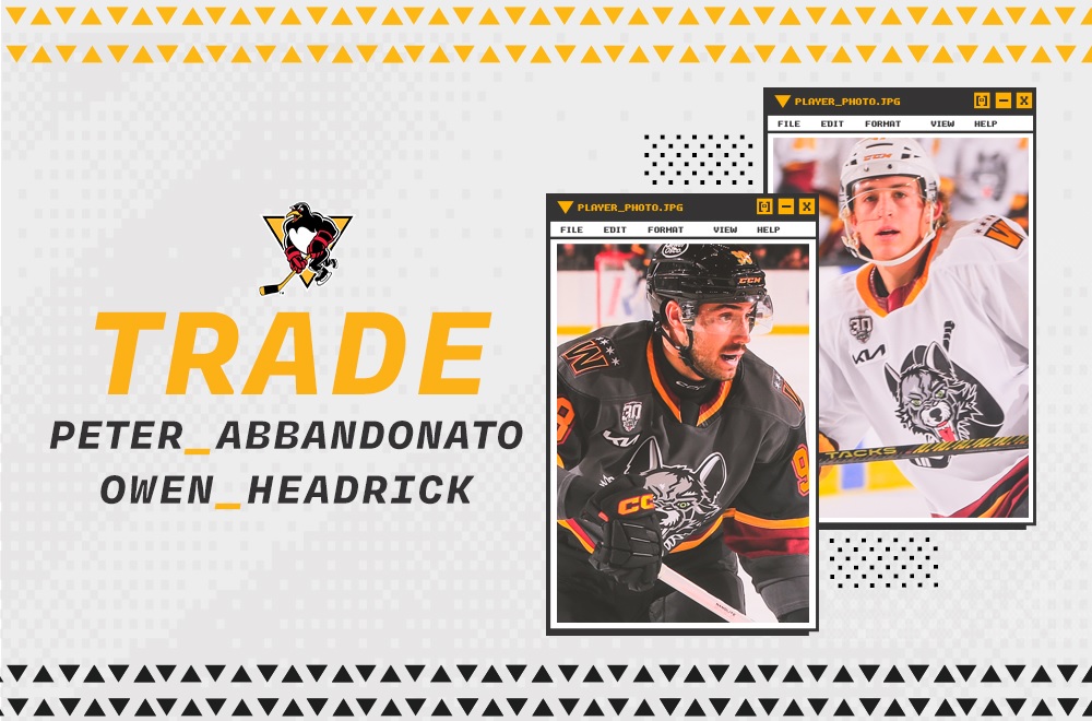 Read more about the article PENGUINS TRADE FOR PETER ABBANDONATO, OWEN HEADRICK