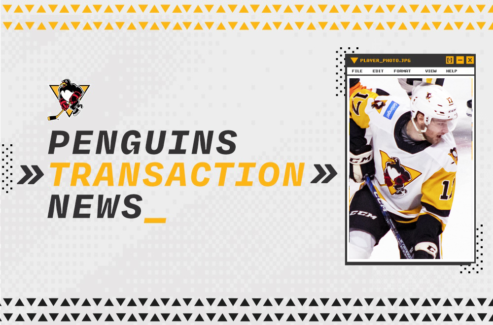 Read more about the article ANSONS REASSIGNED TO PENGUINS, DESRUISSEAUX SIGNS PTO