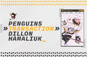 Read more about the article PENGUINS REASSIGN DILLON HAMALIUK TO WHEELING