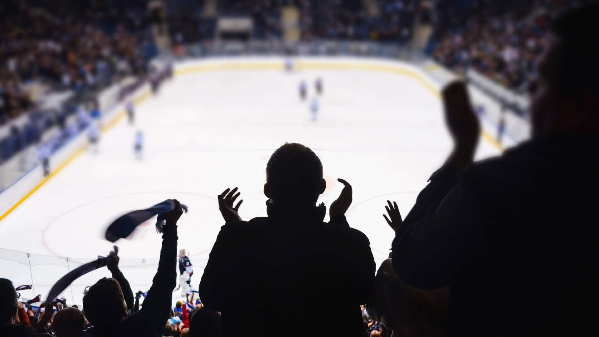 fans supporting GOALS at hockey game