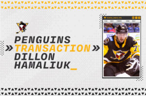 Read more about the article DILLON HAMALIUK REASSIGNED TO WHEELING