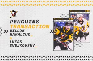 Read more about the article SVEJKOVSKY, HAMALIUK REASSIGNED TO PENGUINS