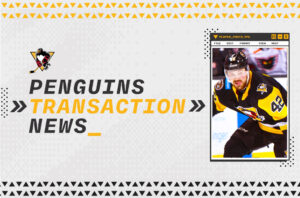 Read more about the article MAX ČAJKOVIČ REASSIGNED TO NAILERS