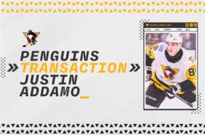 Read more about the article PENGUINS REASSIGN ADDAMO TO NAILERS