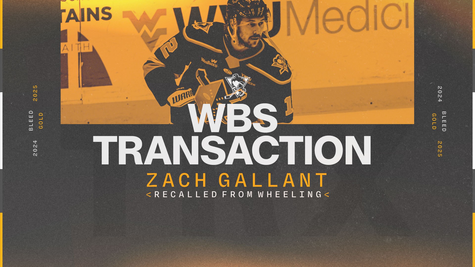 PENGUINS RECALL ZACH GALLANT FROM NAILERS