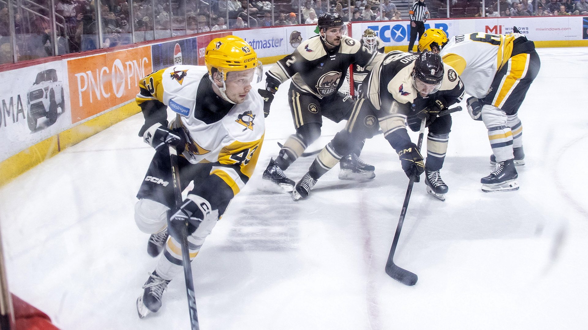 PENGUINS FIGHT HARD BUT FALL TO BEARS, 4-2