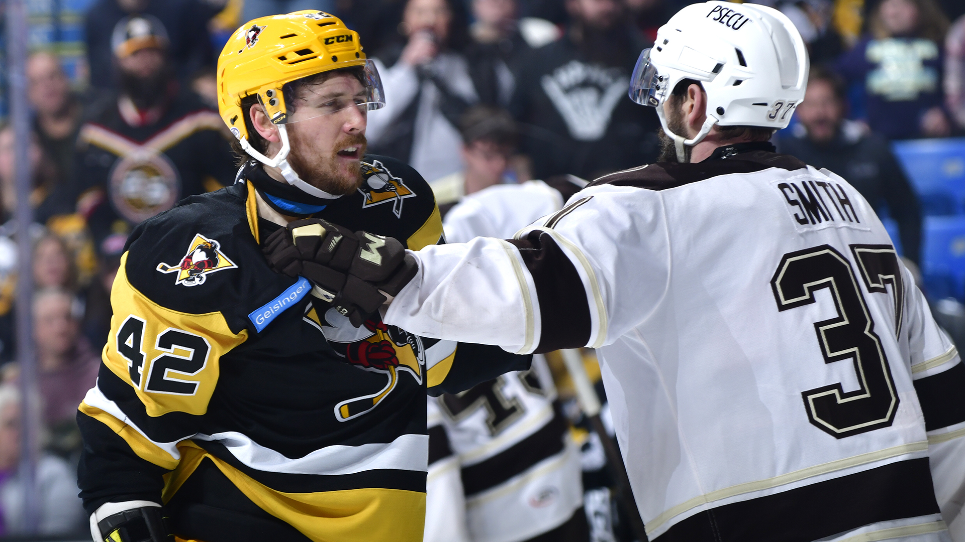 PENGUINS FALTER IN THIRD, LOSE TO BEARS, 4-2