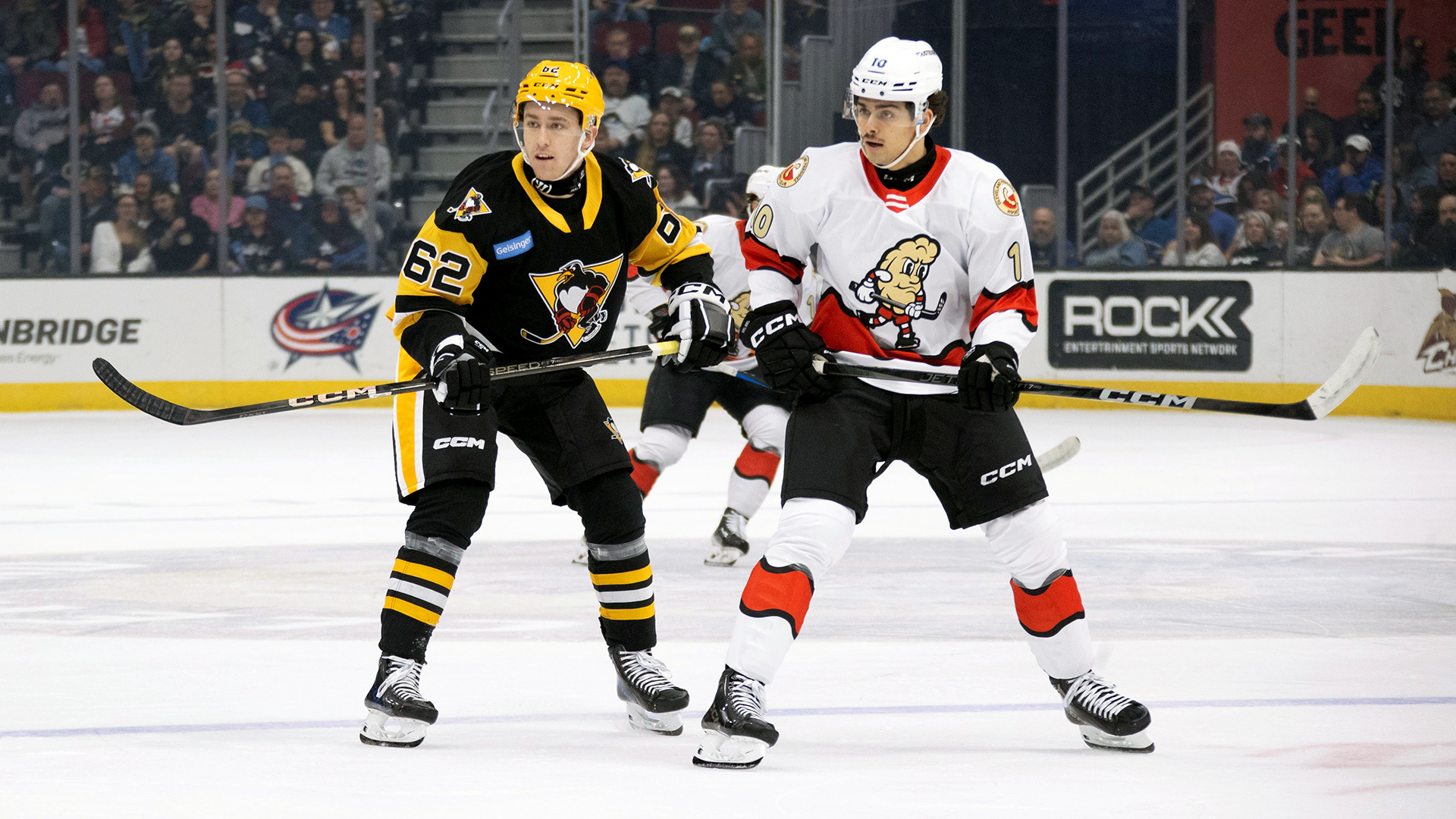 PENGUINS SHUT-OUT BY GREAVES IN CLEVELAND