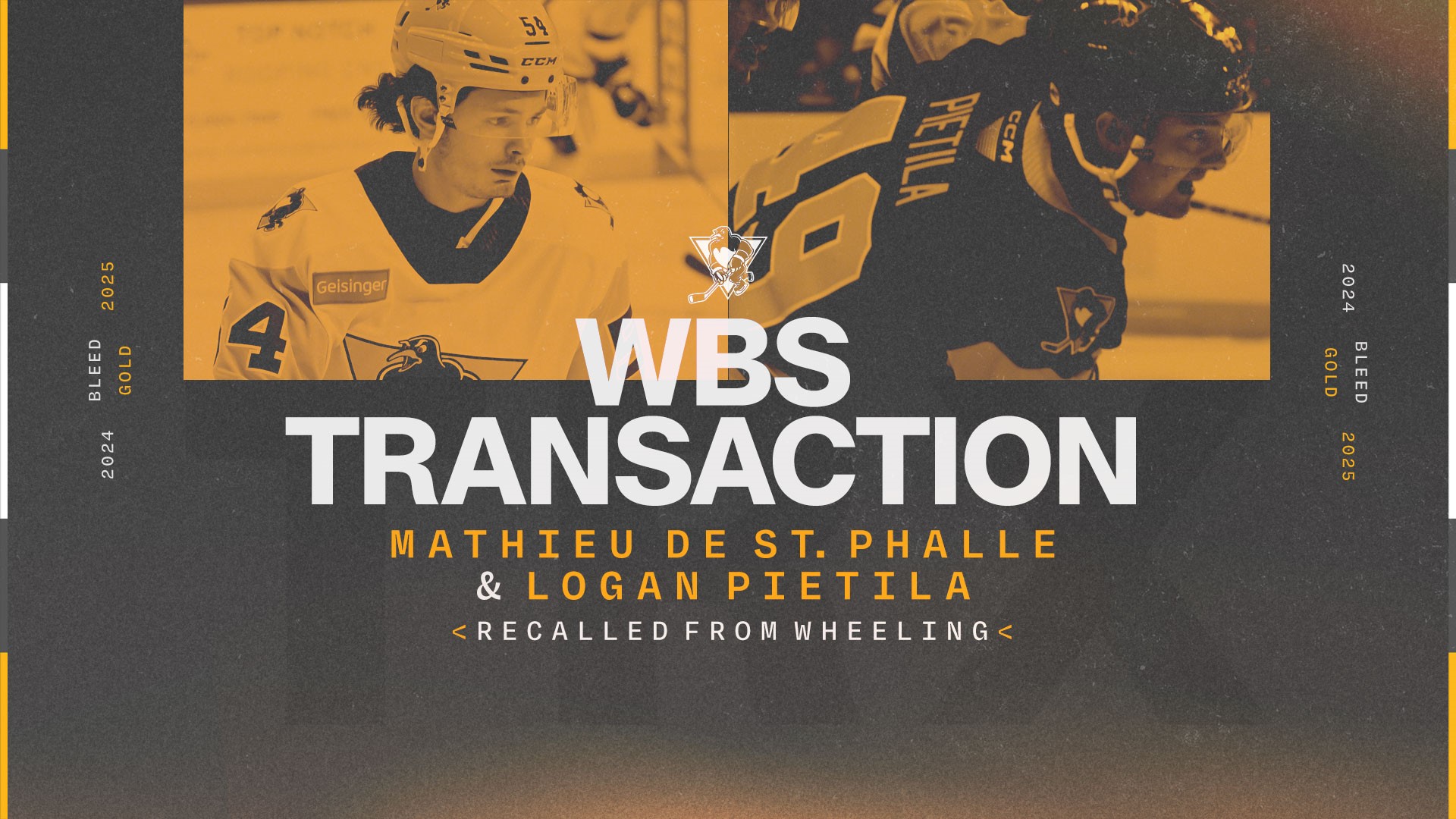 PENGUINS RECALL MATHIEU DE ST. PHALLE, LOGAN PIETILA