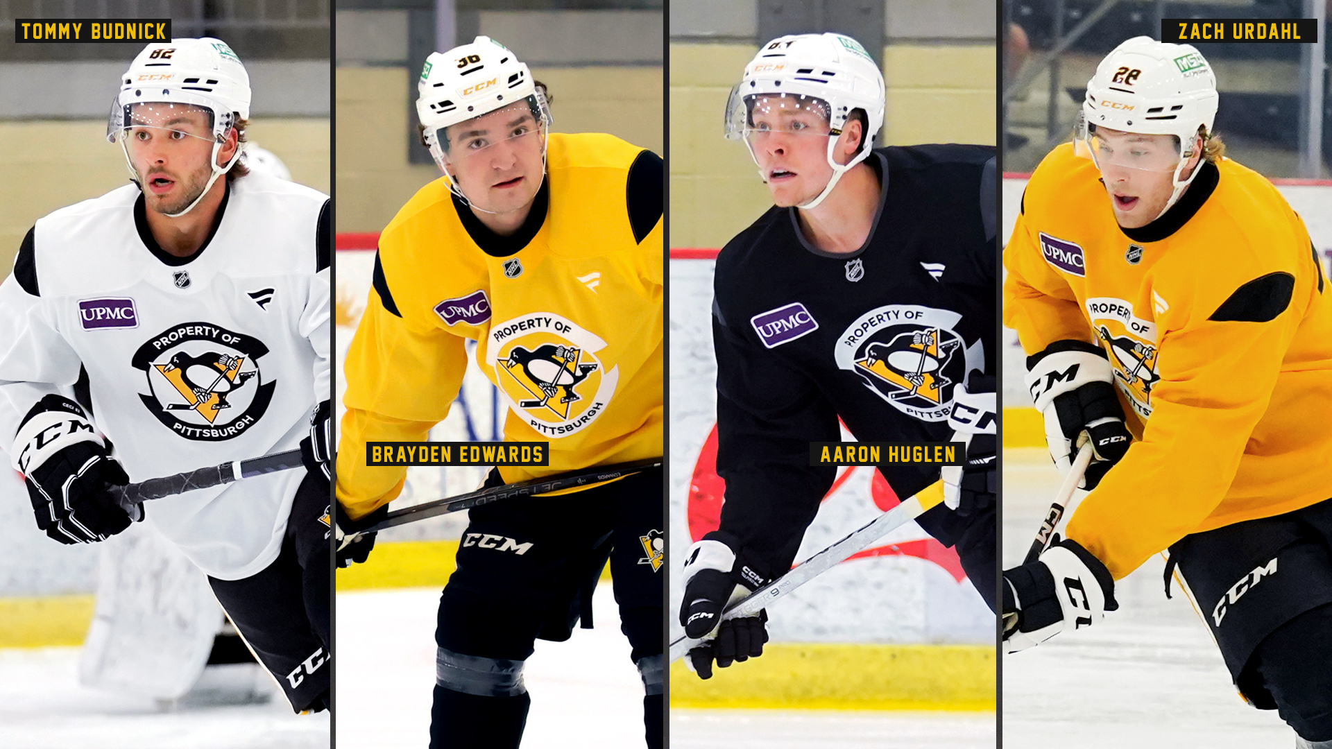 INTRODUCING: BUDNICK, EDWARDS, HUGLEN & URDAHL