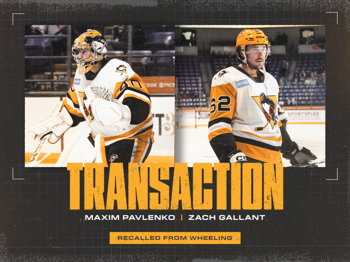 Pavlenko-Gallant-recalled-web-