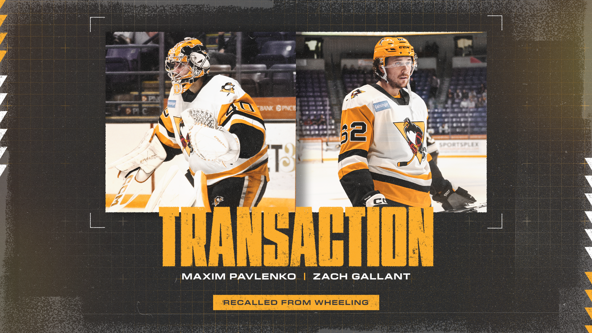 PENGUINS RECALL MAXIM PAVLENKO AND ZACH GALLANT