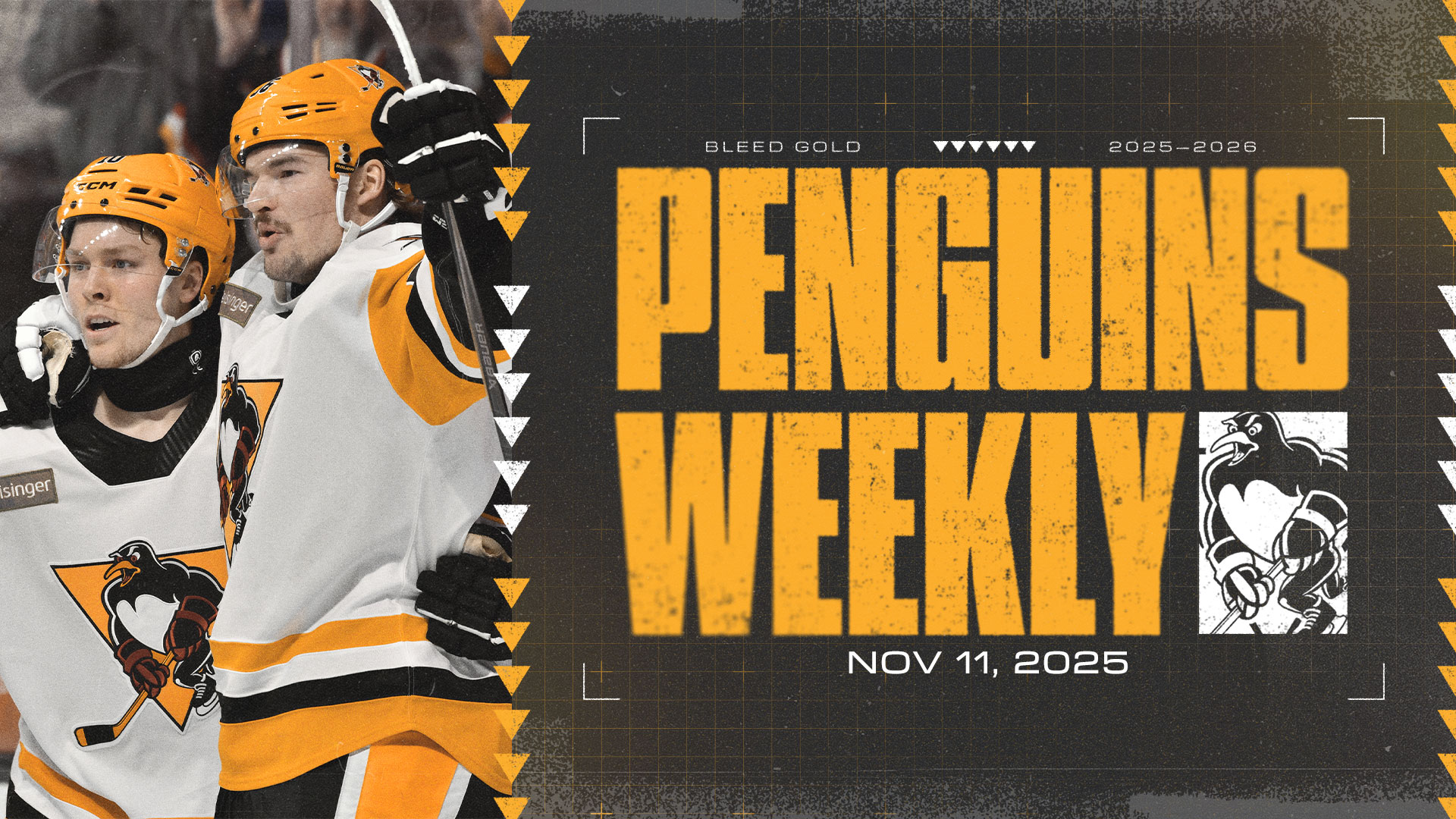 PENGUINS WEEKLY – 11/11/25