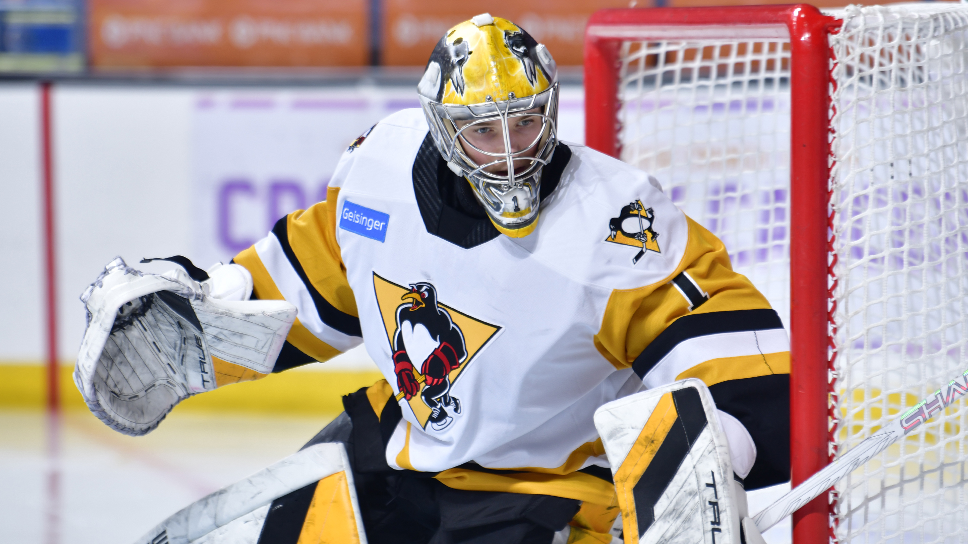 PENGUINS DEFEAT BEARS BEFORE HOLIDAY BREAK, 3-1