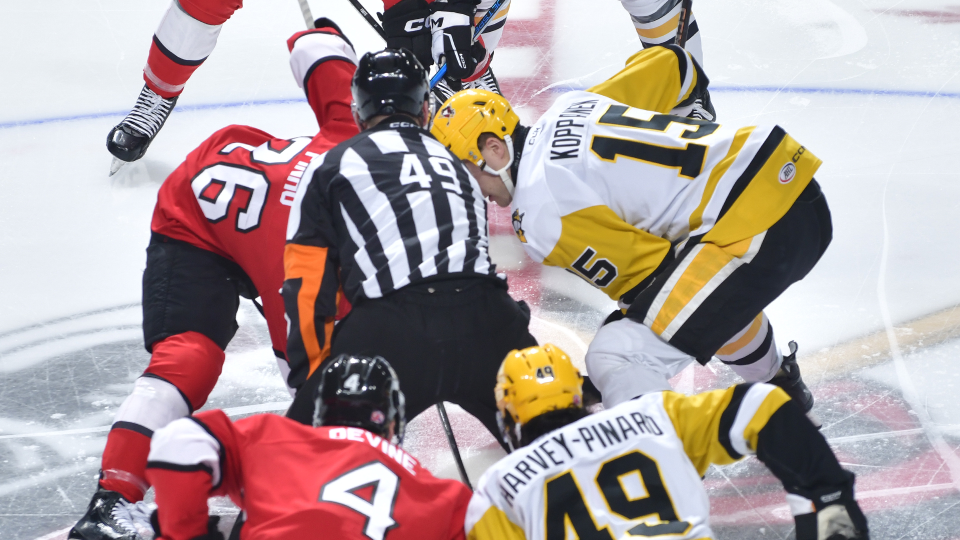 PENGUINS FALL TO CHECKERS, 6-2