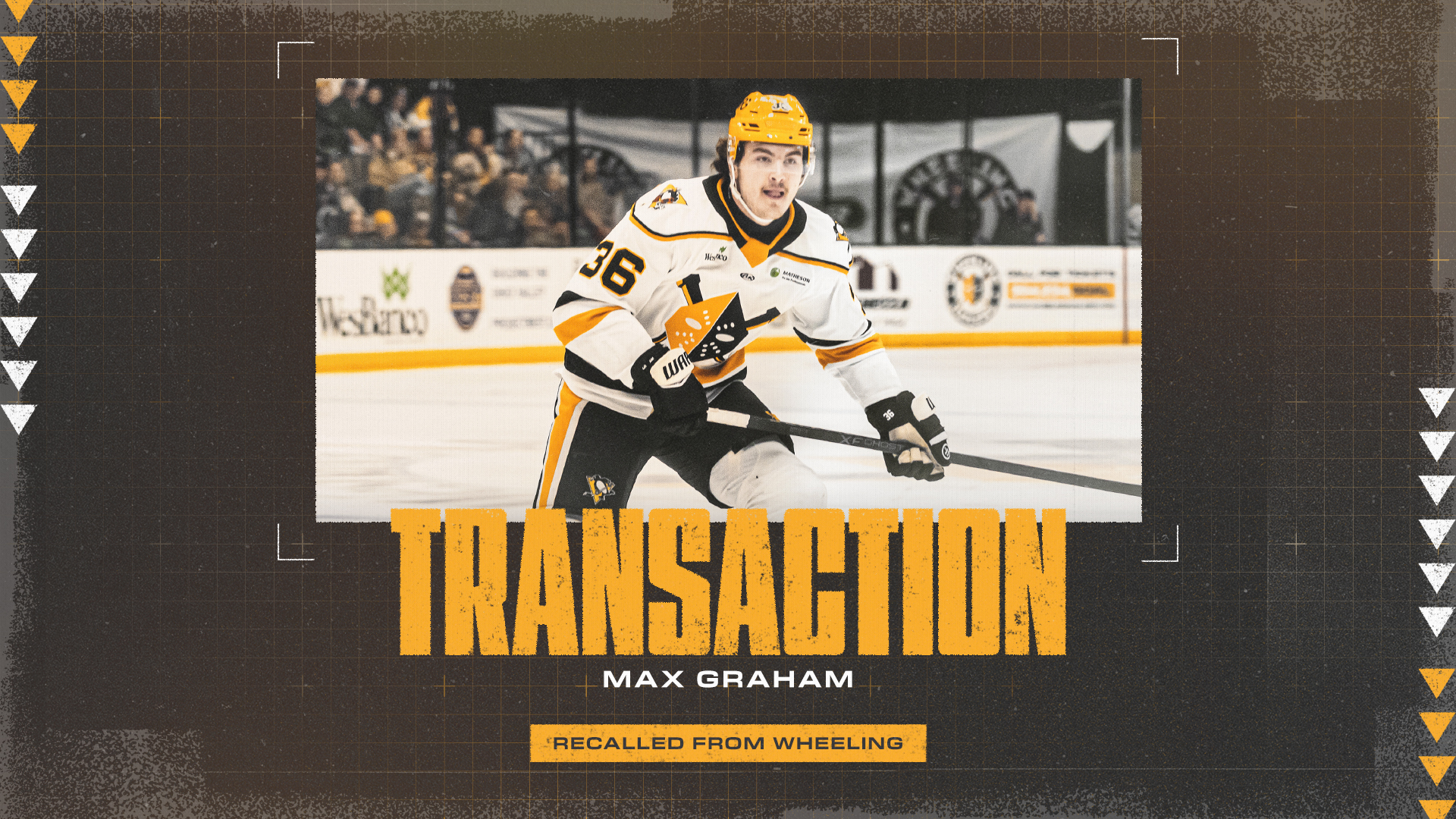 PENGUINS RECALL FORWARD MAX GRAHAM FROM NAILERS