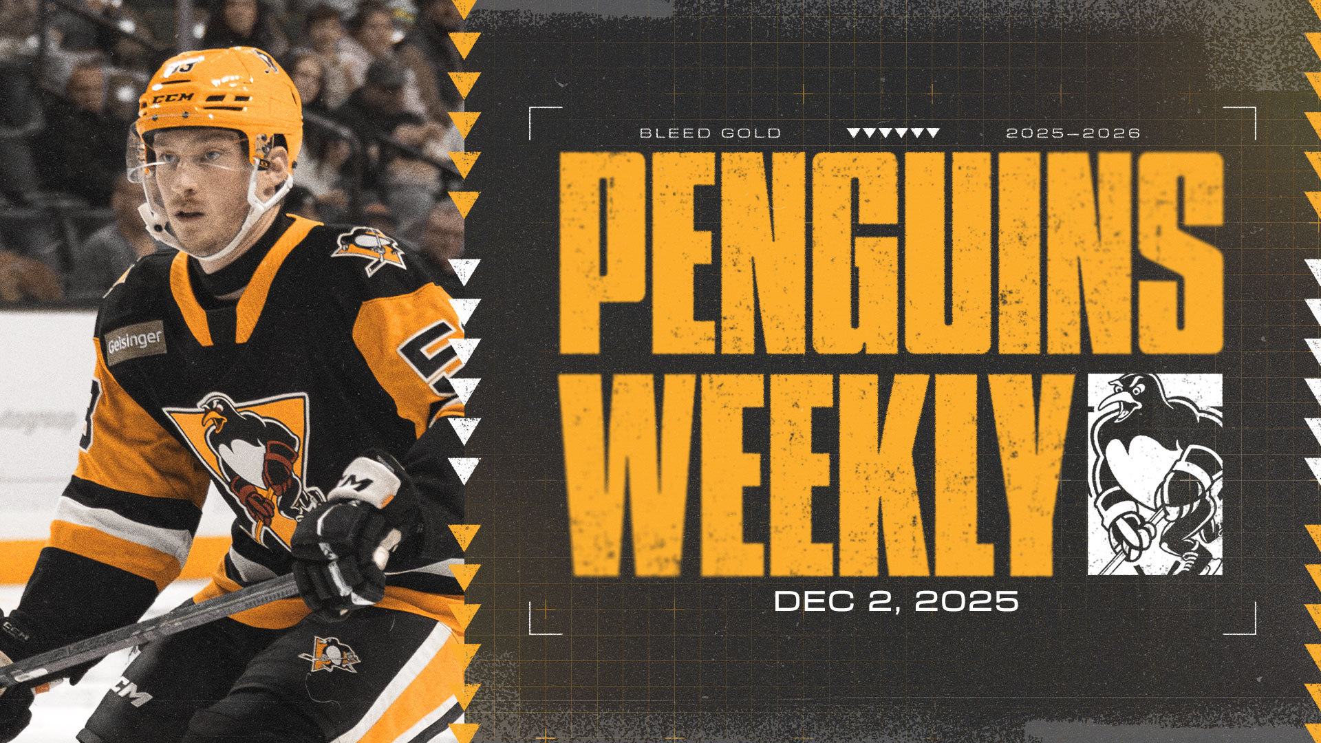 PENGUINS WEEKLY – 12/2/25