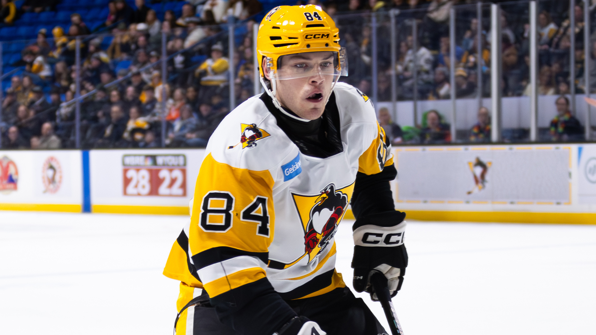 PENGUINS FALTER IN 4-3 LOSS TO WOLF PACK