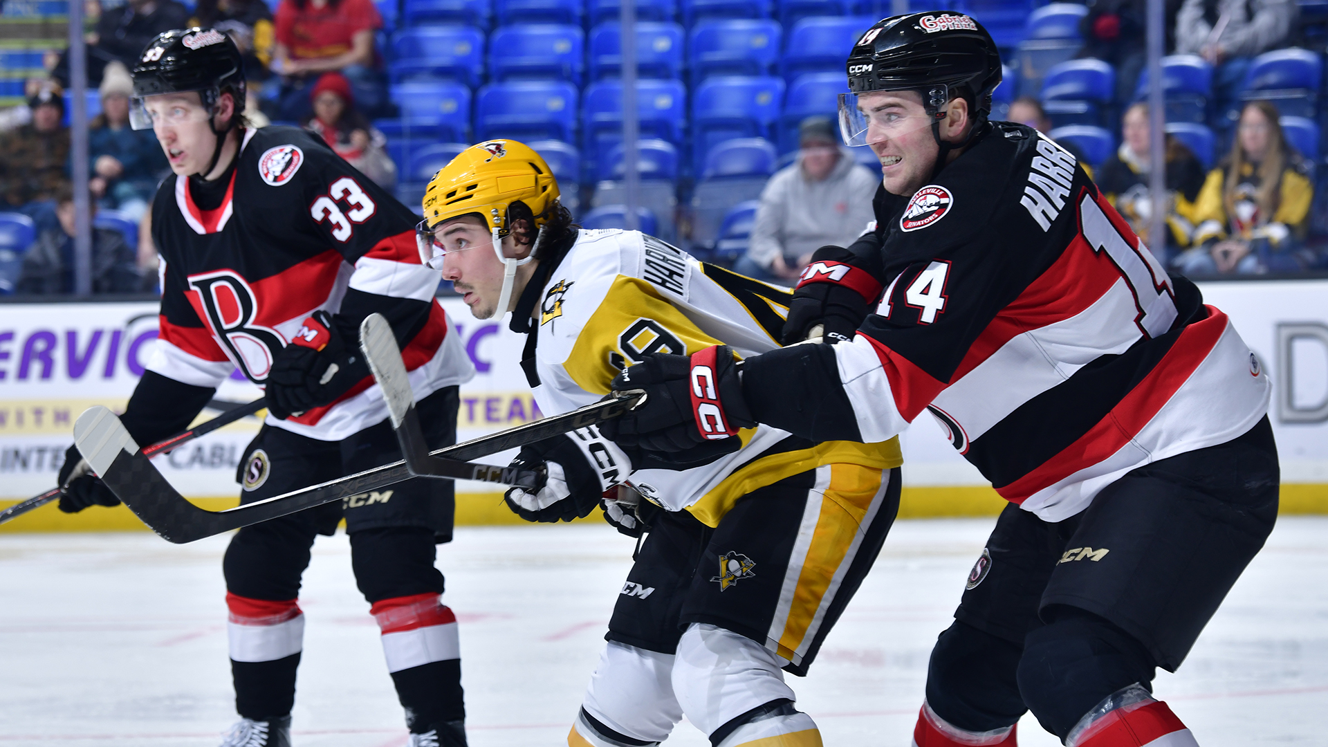 PENGUINS STUNNED BY SENATORS IN OT, 3-2