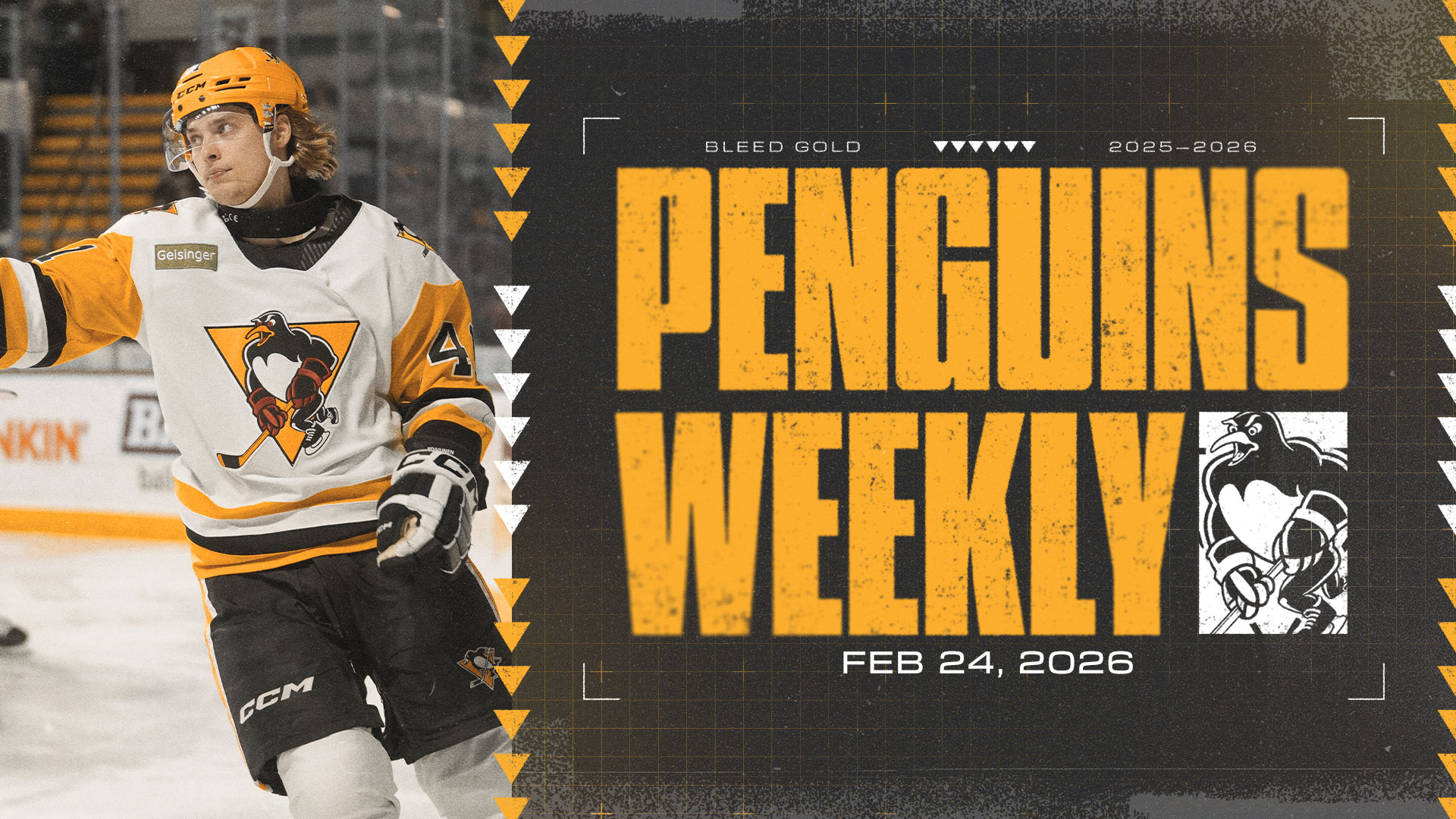 PENGUINS WEEKLY – 2/24/26
