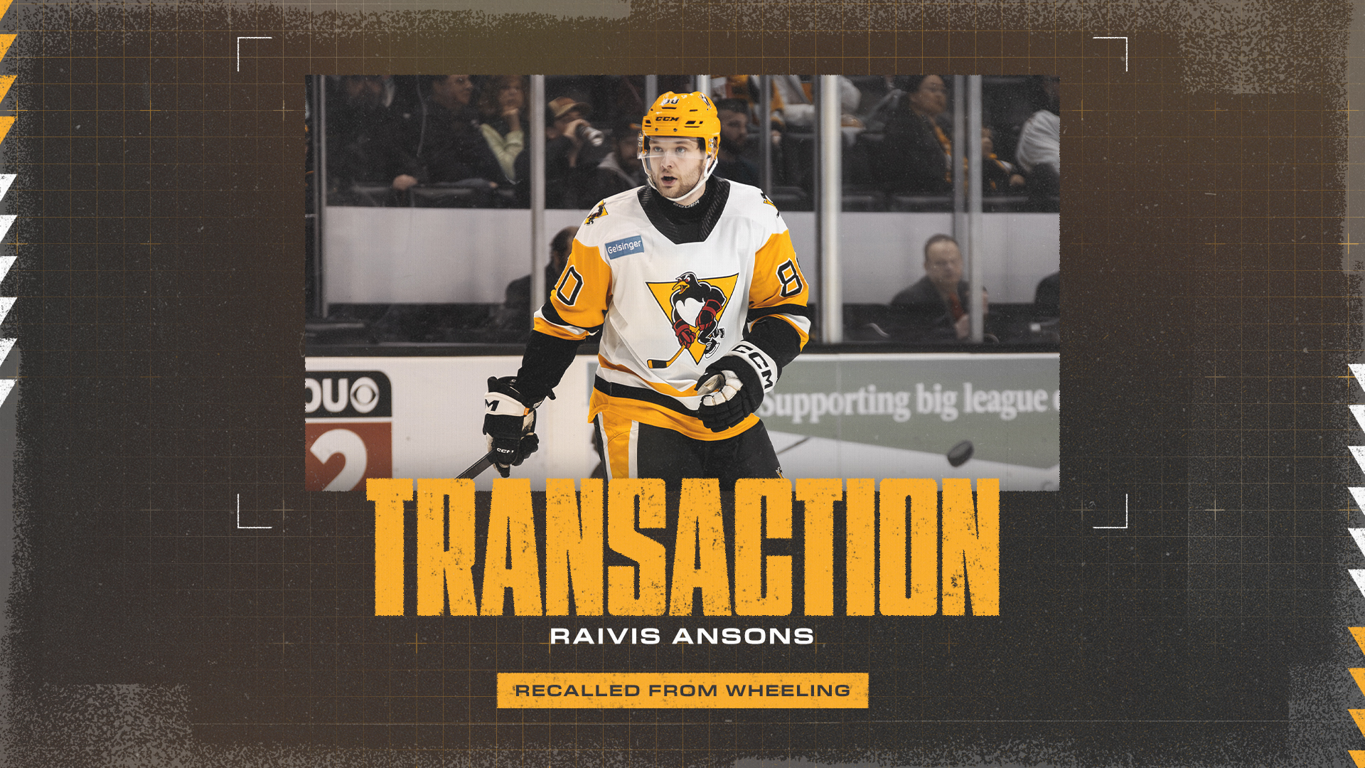 PENGUINS RECALL RAIVIS ANSONS FROM WHEELING
