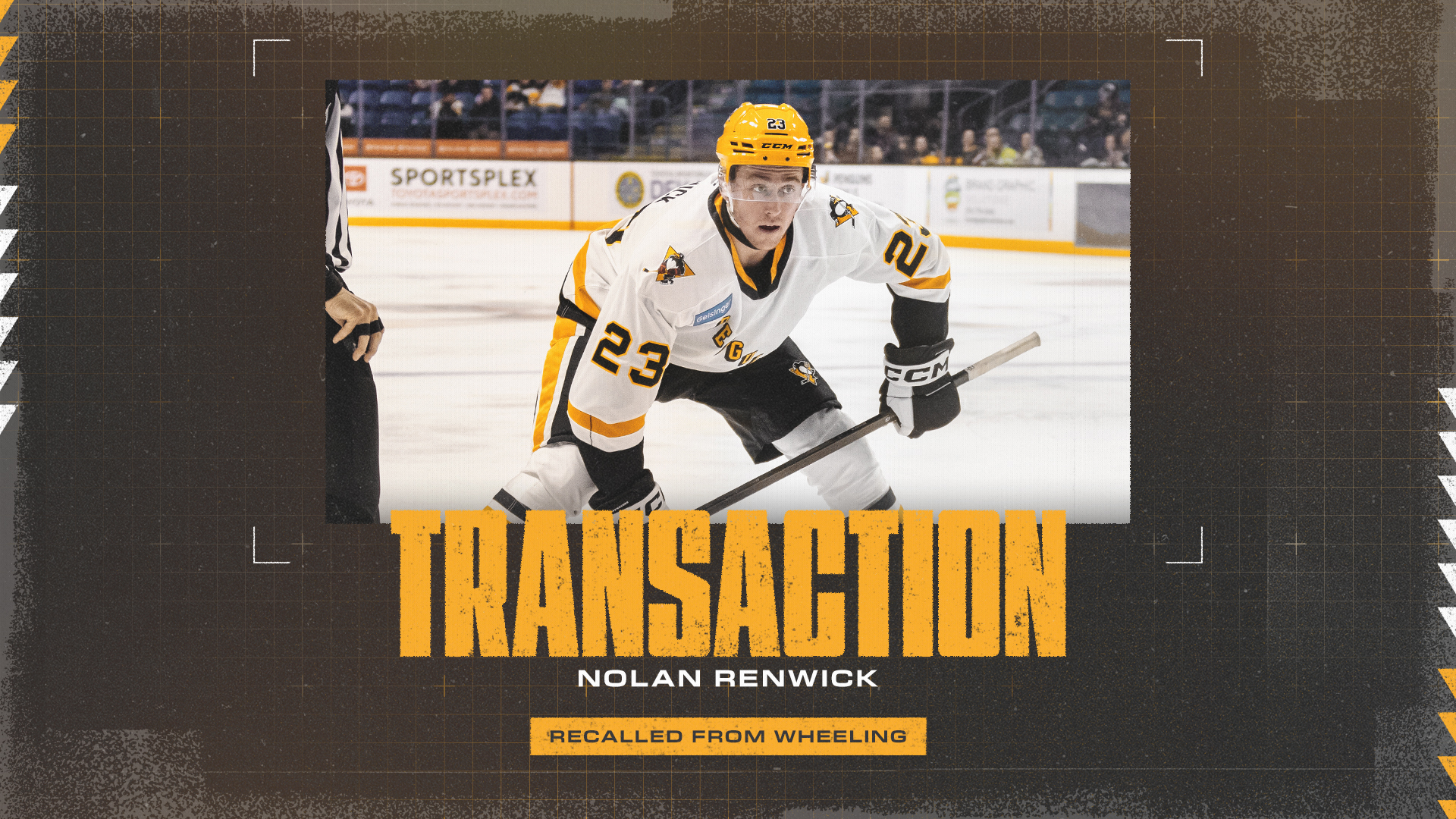 PENGUINS RECALL NOLAN RENWICK FROM NAILERS