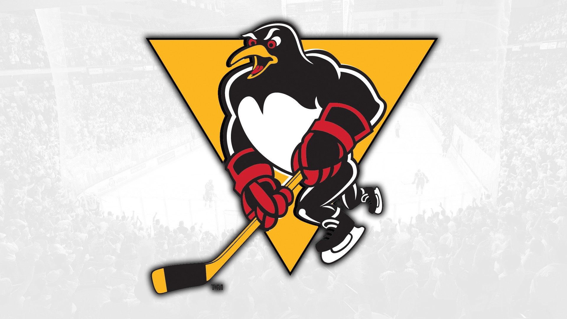 WBS Penguins Alum Ryan Craig: New Vegas Golden Knights Coach